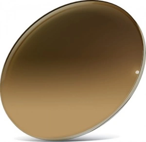 Gradient Brown/Brown Lens
